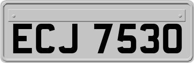 ECJ7530