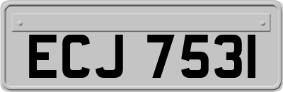 ECJ7531
