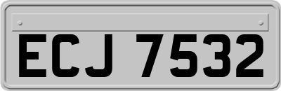 ECJ7532