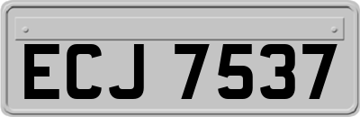 ECJ7537