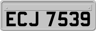 ECJ7539