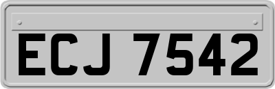 ECJ7542