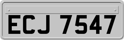 ECJ7547