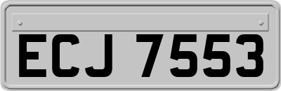 ECJ7553