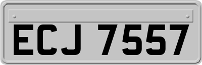 ECJ7557
