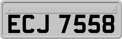 ECJ7558