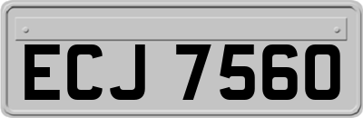ECJ7560