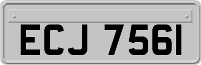 ECJ7561