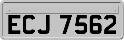 ECJ7562