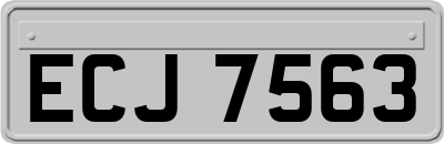 ECJ7563