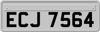 ECJ7564