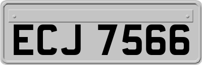 ECJ7566