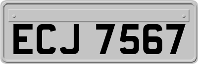 ECJ7567