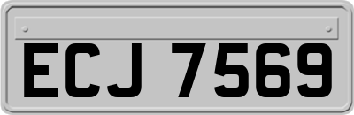 ECJ7569