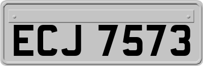 ECJ7573