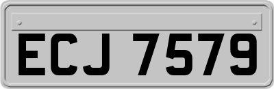 ECJ7579