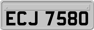 ECJ7580