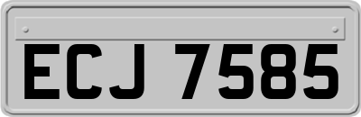 ECJ7585