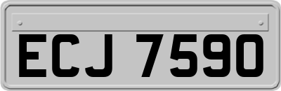 ECJ7590