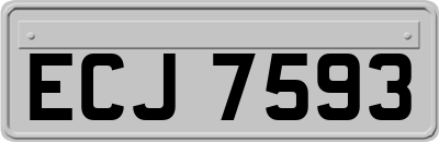 ECJ7593