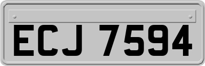 ECJ7594