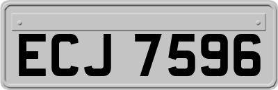 ECJ7596