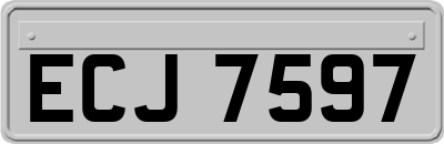 ECJ7597
