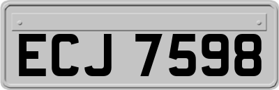 ECJ7598