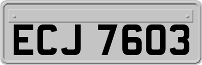 ECJ7603