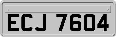 ECJ7604