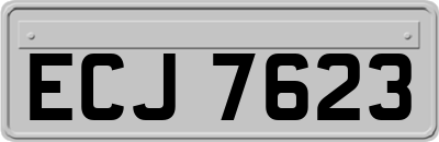 ECJ7623