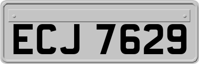 ECJ7629