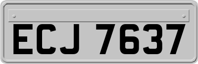 ECJ7637