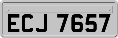 ECJ7657