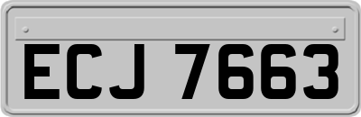 ECJ7663