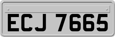 ECJ7665