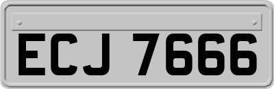 ECJ7666