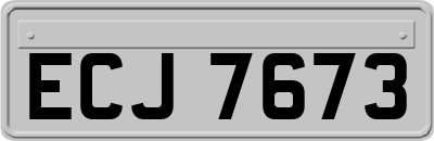 ECJ7673