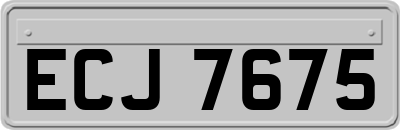 ECJ7675