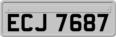 ECJ7687