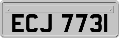 ECJ7731