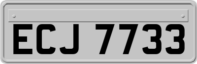 ECJ7733