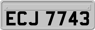 ECJ7743