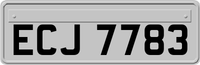ECJ7783
