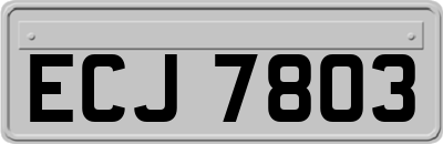 ECJ7803