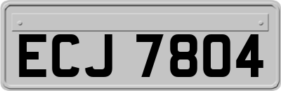 ECJ7804