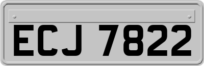 ECJ7822