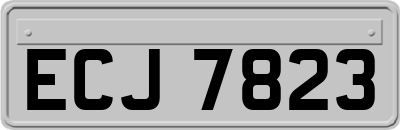 ECJ7823