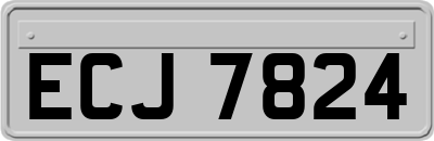 ECJ7824