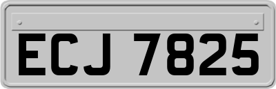 ECJ7825